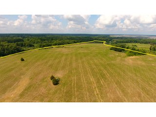 TRACT 41 - ILLINOIS LAND AUCTION - 4,810+/- ACRES OFFERED IN 85 TRACTS IN FRANKLIN, WILLIAMSON, HAMILTON & SALINE COUNTIES, ILLINOIS